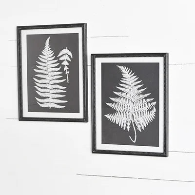 Large BW Vintage Framed Fern Print