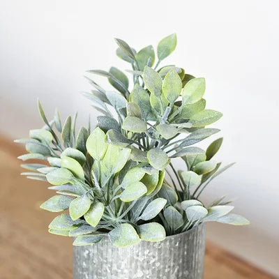 Dusty Green Leaf Stem