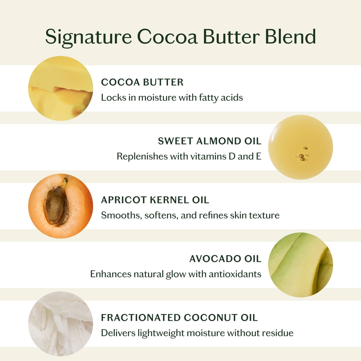 Kate McLeod: Daily Stone | Starter Kit Deep Moisturizing Lotion Bar