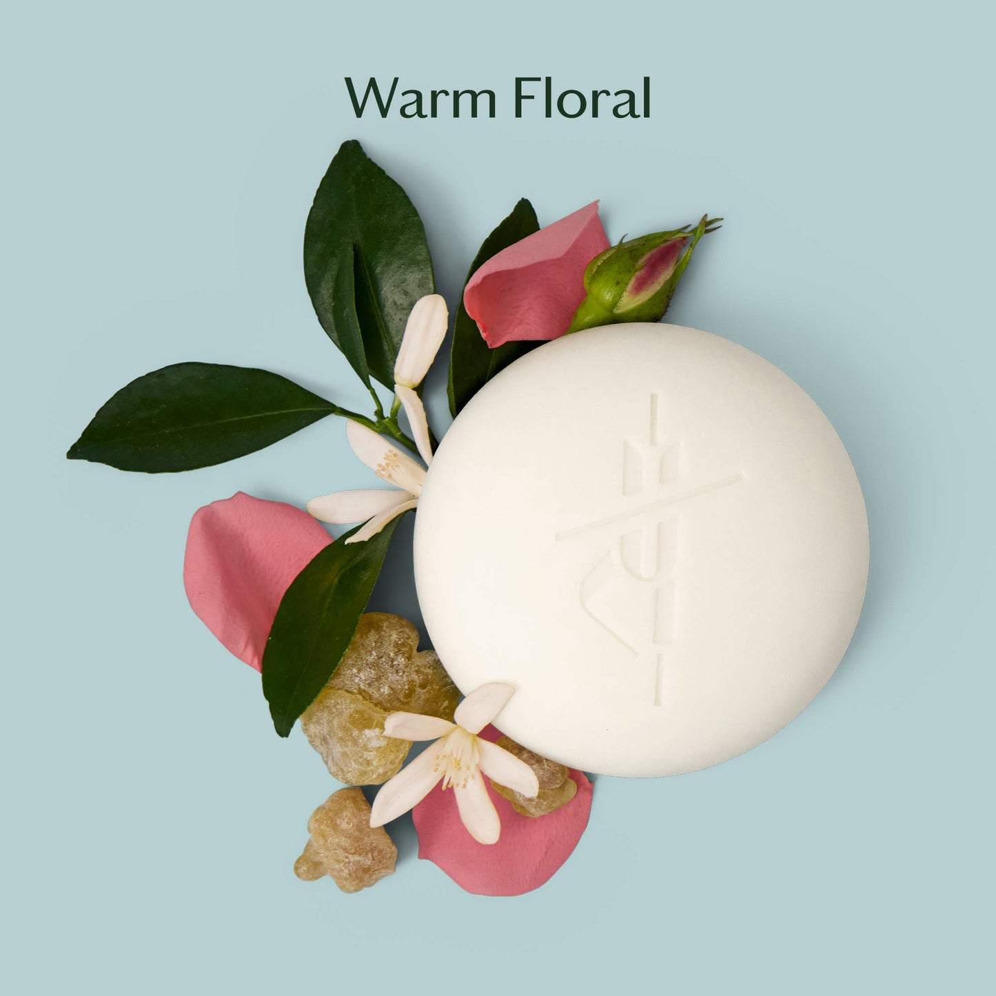 Kate McLeod: Daily Stone | Starter Kit Deep Moisturizing Lotion Bar