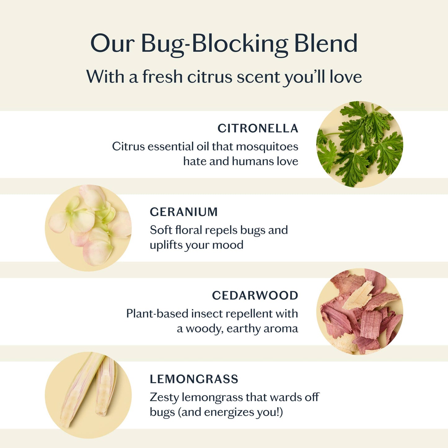 Kate McLeod: The Bug Balm | Lotion Bar All-Natural Insect Repellent