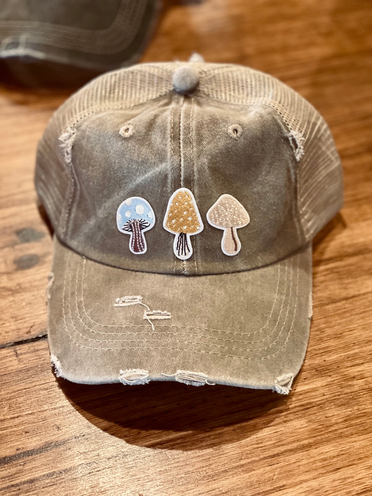 Mushroom Distressed Hat