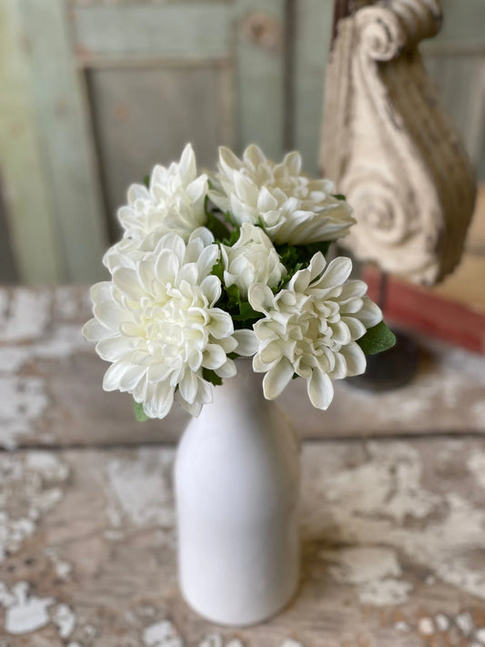 10" Chrysanthemum Bundle, Cream