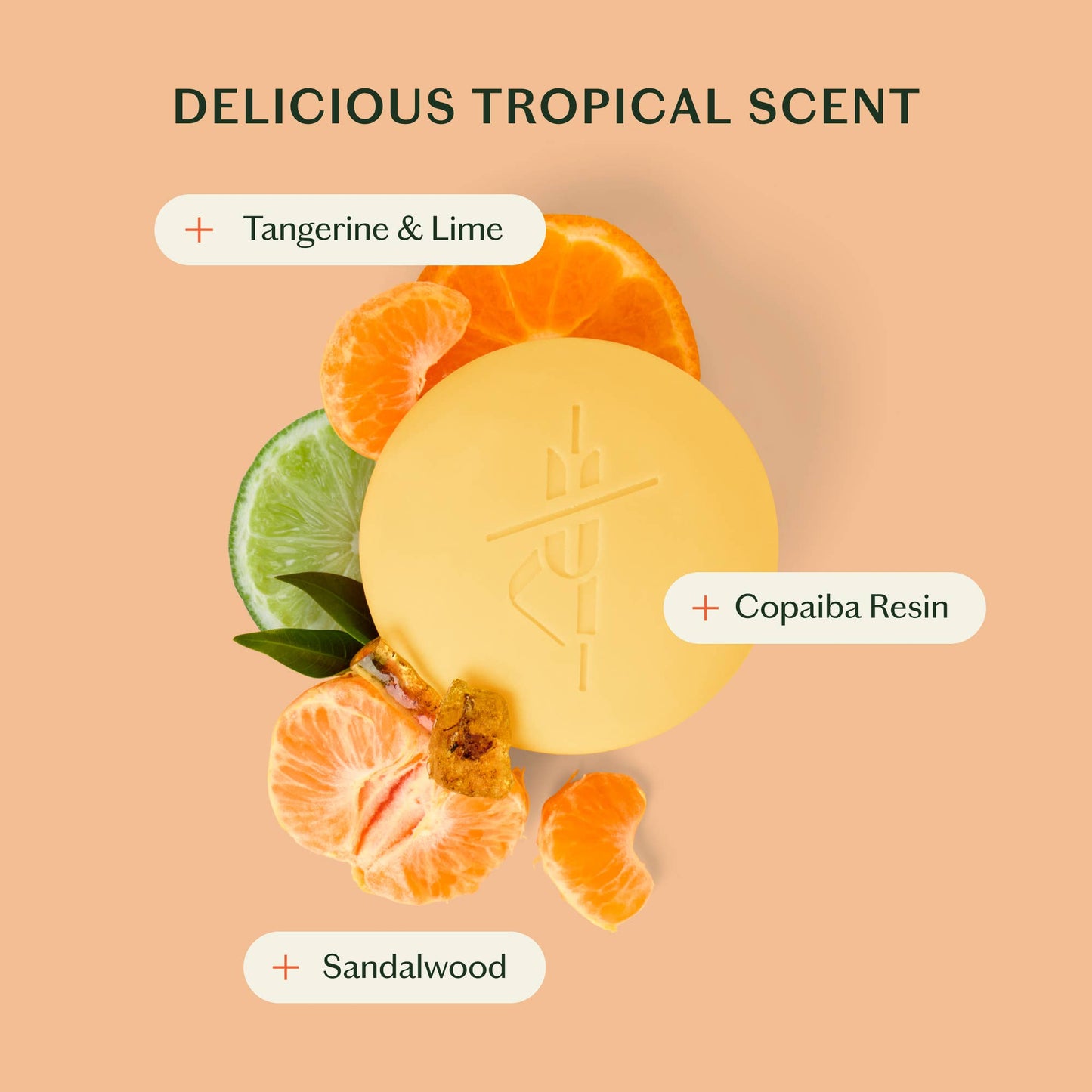 Kate McLeod: The Sun Stone | After Sun Balm & Lotion Bar