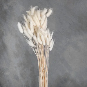 White Pampas Bundle (14 pc)