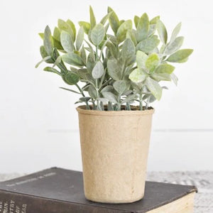 Tea Leaf in Paper Pot